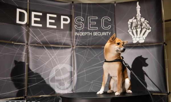 The DeepSec experience
