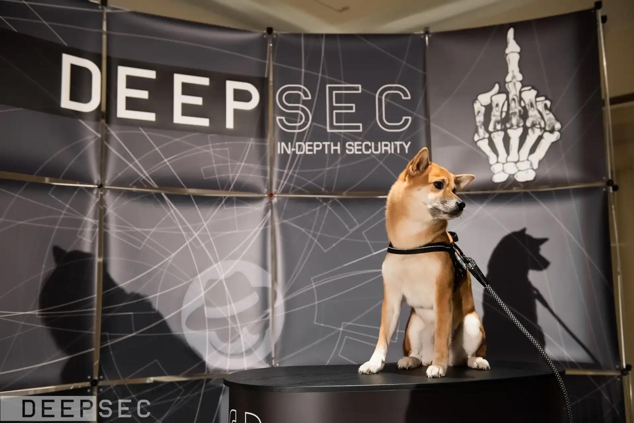 The DeepSec experience